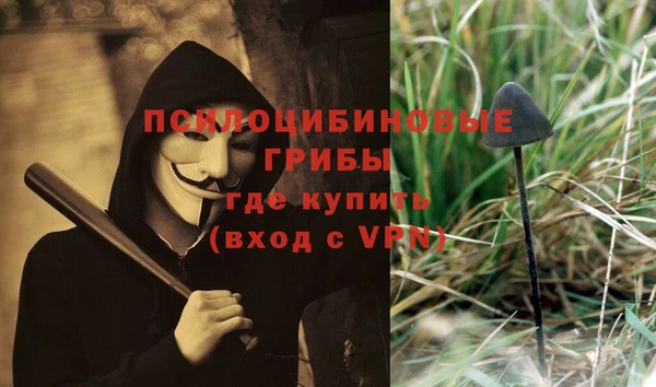 a pvp Белокуриха