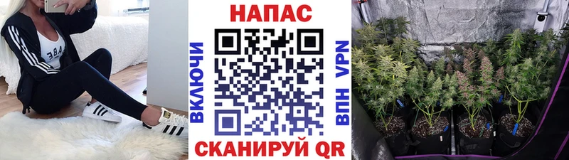 Конопля OG Kush  ссылка на мегу зеркало  Кубинка 